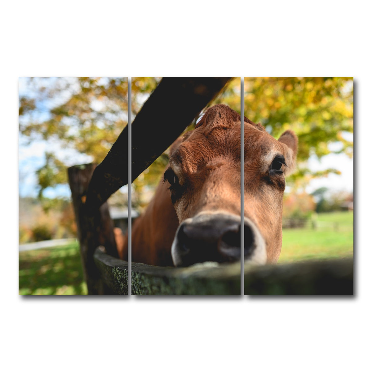 AUTO-MOCKUP WHITE | Farm Life | 3 Piece | Gallery Wrap Canvas | group=12x24