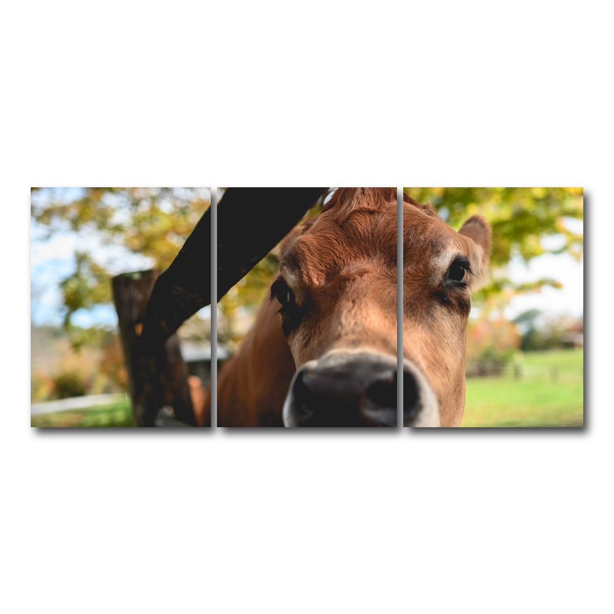 AUTO-MOCKUP WHITE | Farm Life | 3 Piece | Gallery Wrap Canvas | group=18x24