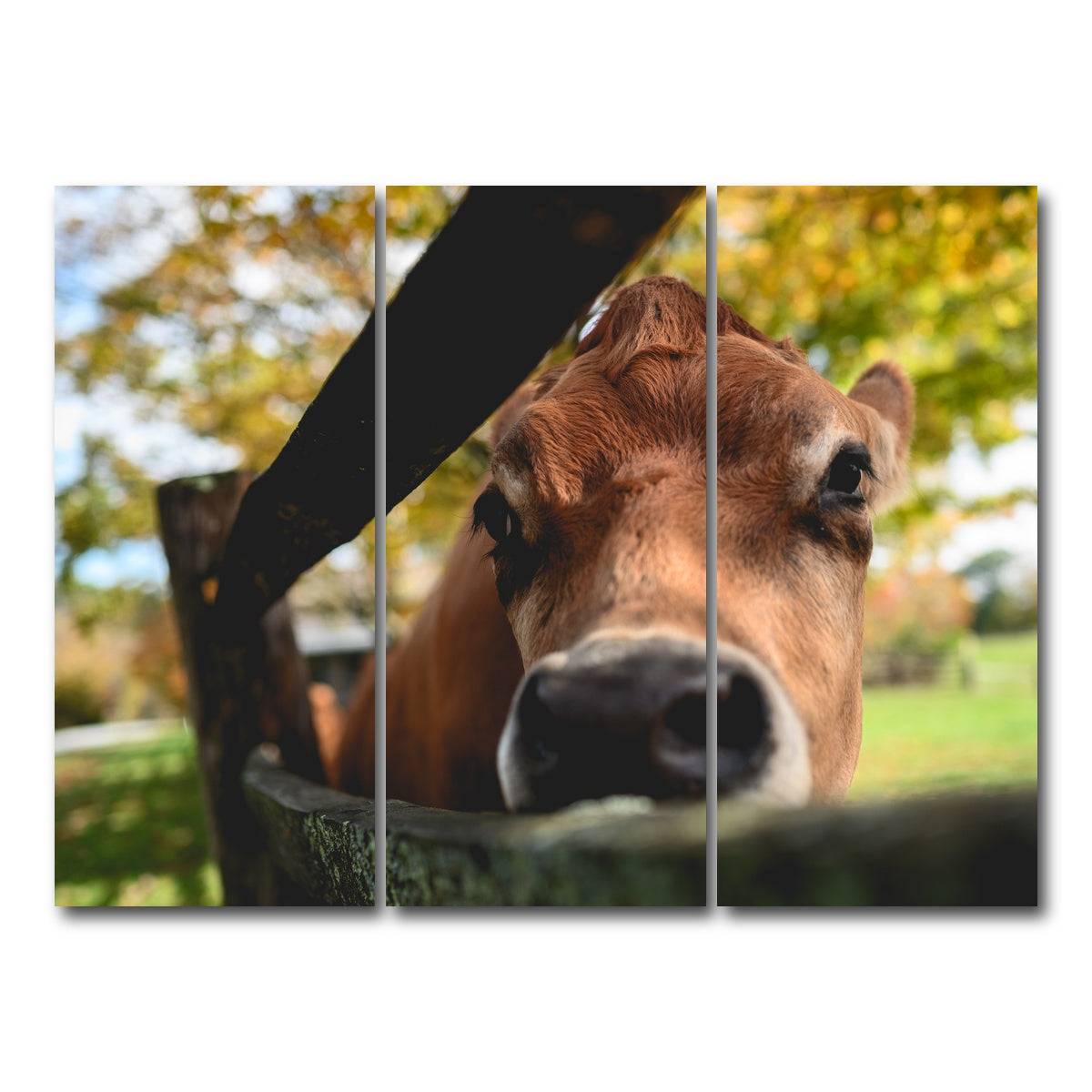AUTO-MOCKUP WHITE | Farm Life | 3 Piece | Gallery Wrap Canvas | group=8x18