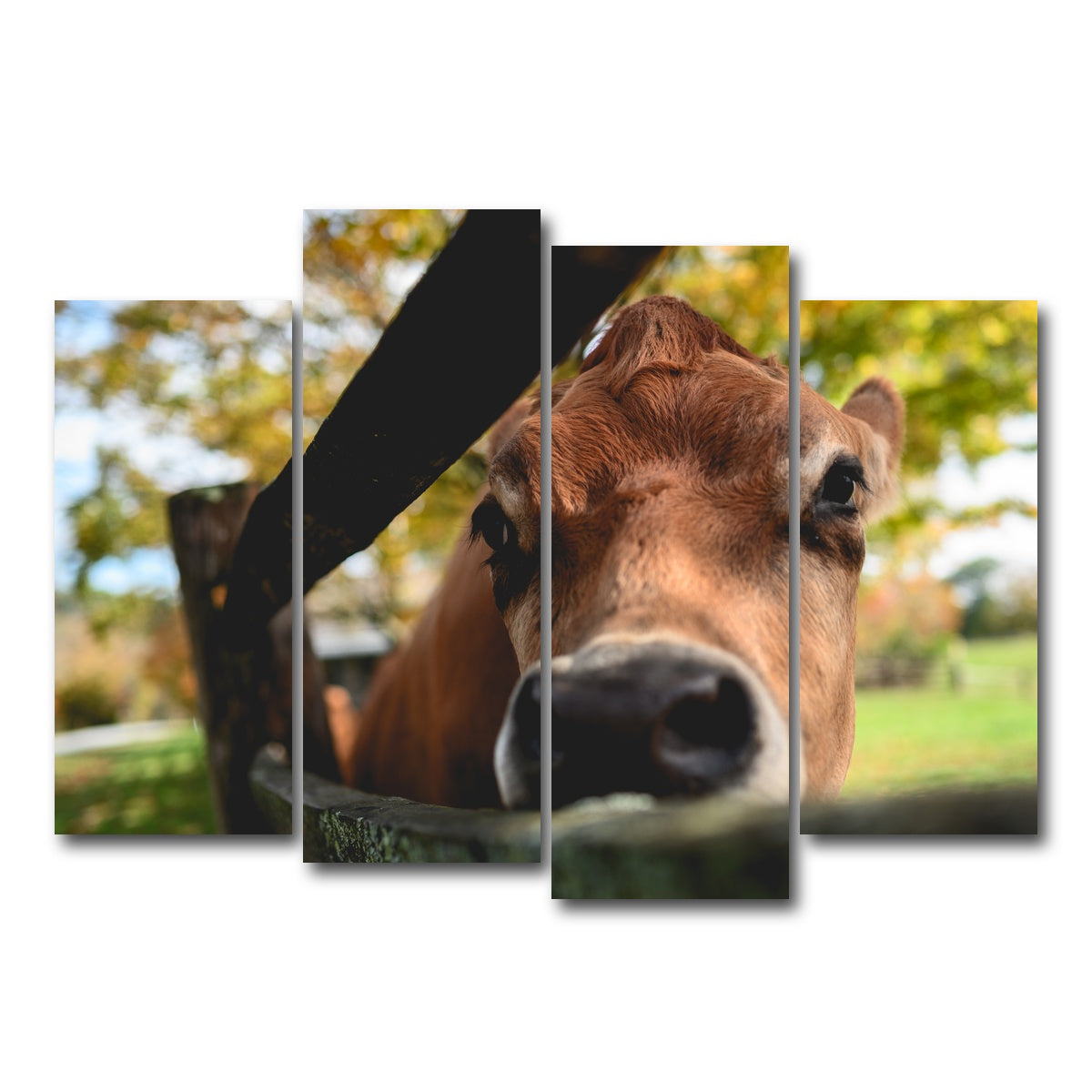 AUTO-MOCKUP WHITE | Farm Life | 4 Piece | Gallery Wrap Canvas | group=4_normal