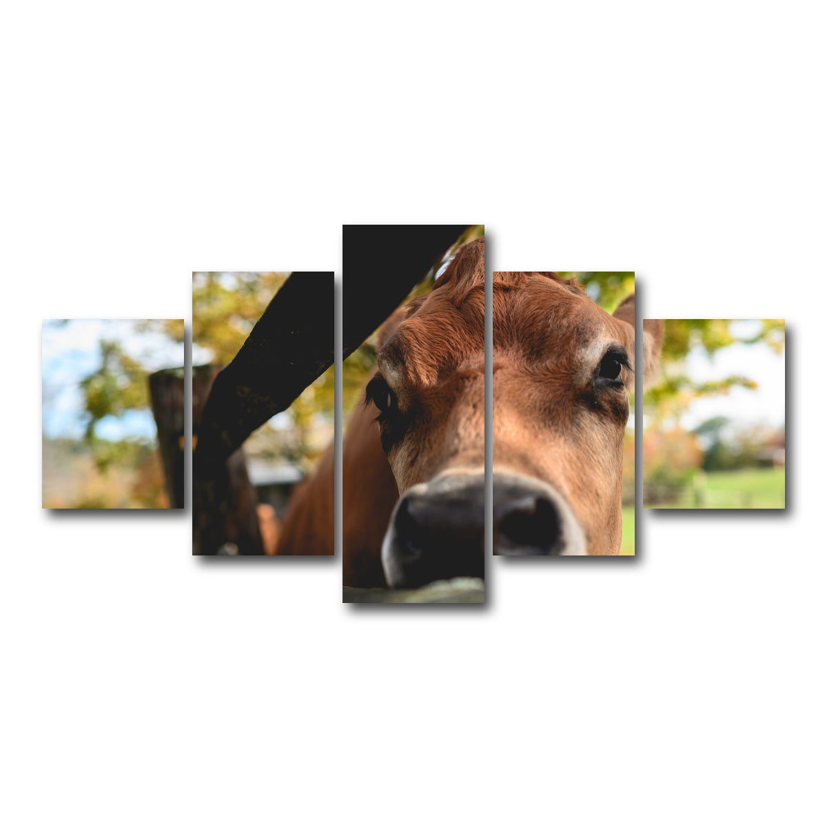 AUTO-MOCKUP WHITE | Farm Life | 5 Piece | Gallery Wrap Canvas | group=5_short
