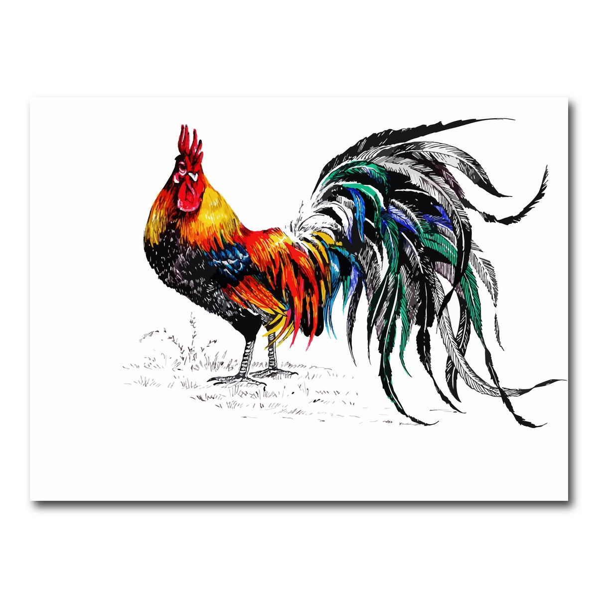 AUTO-MOCKUP WHITE | Farm rooster | 1 Piece | Gallery Wrap Canvas | group=4x3