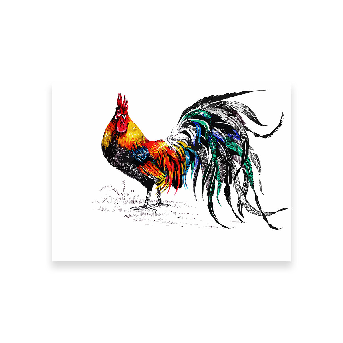 Farm Rooster Wall Art