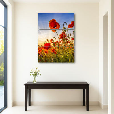AUTO-MOCKUP ROOM | Fascinating poppies
