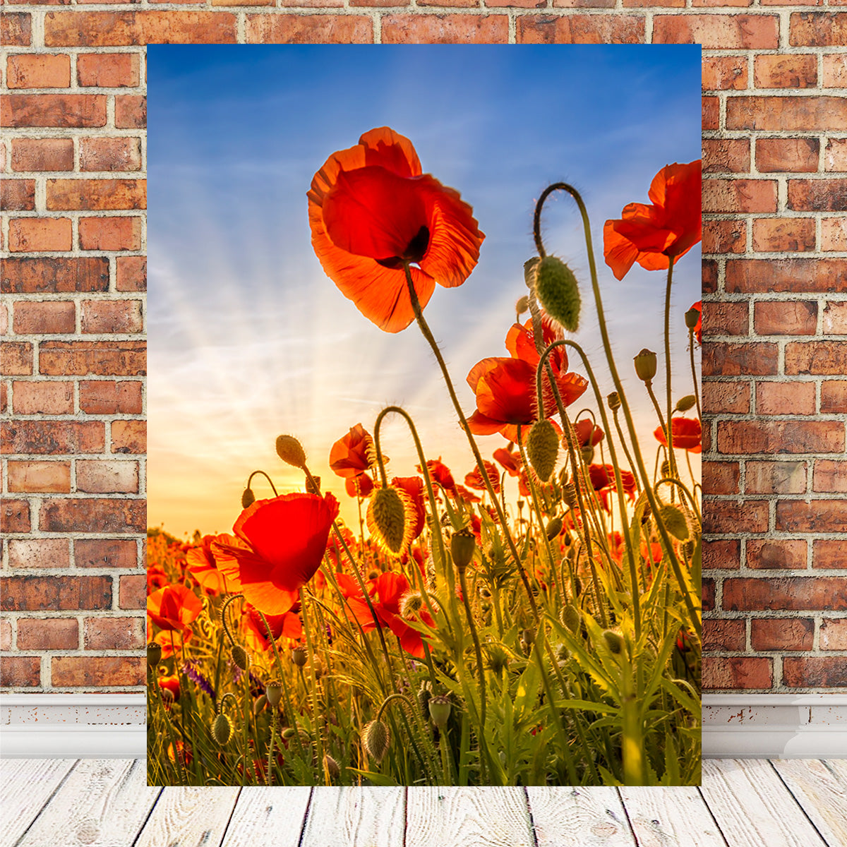 Fascinating Poppies Wall Art
