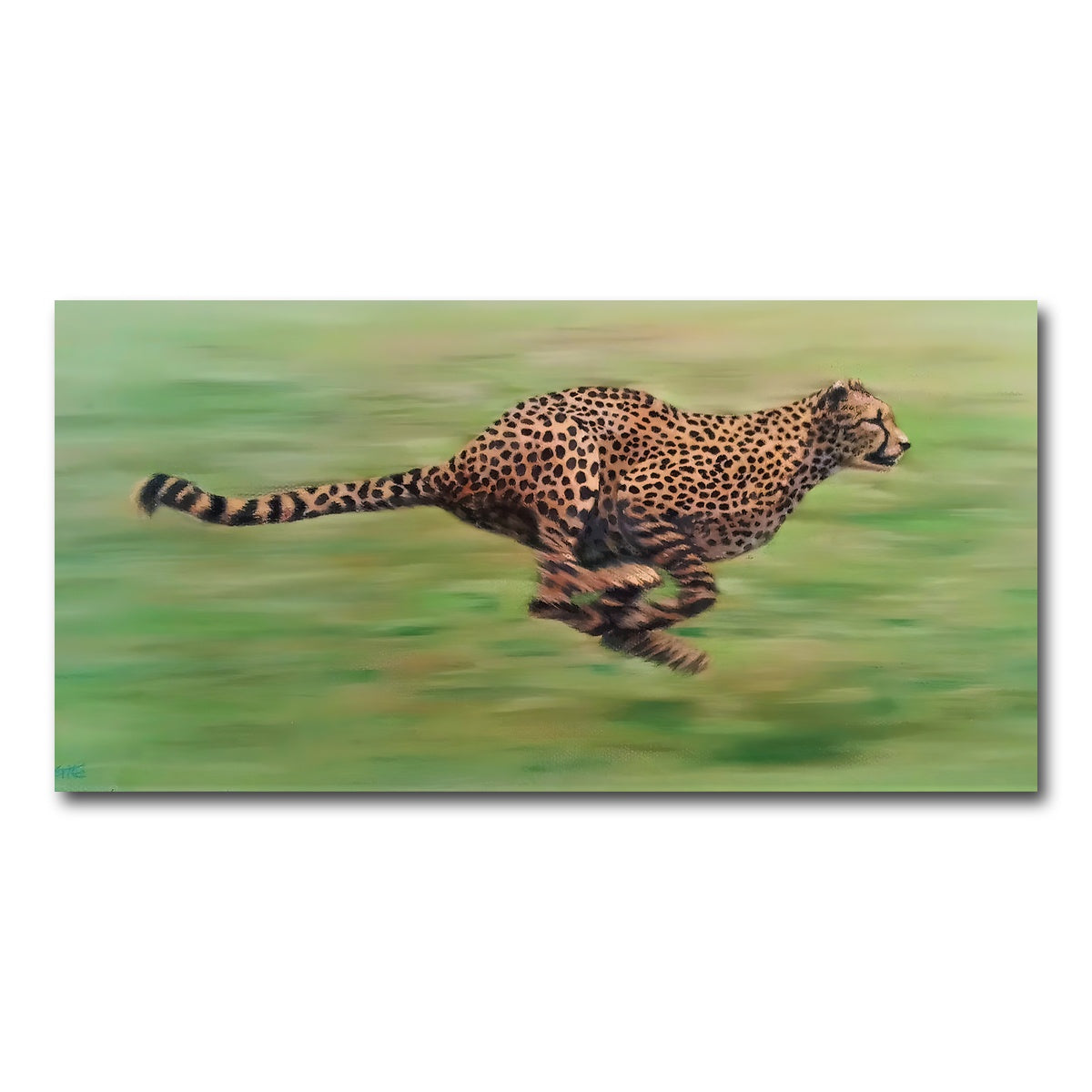 AUTO-MOCKUP WHITE | Fast Forward | 1 Piece | Gallery Wrap Canvas | group=2x1