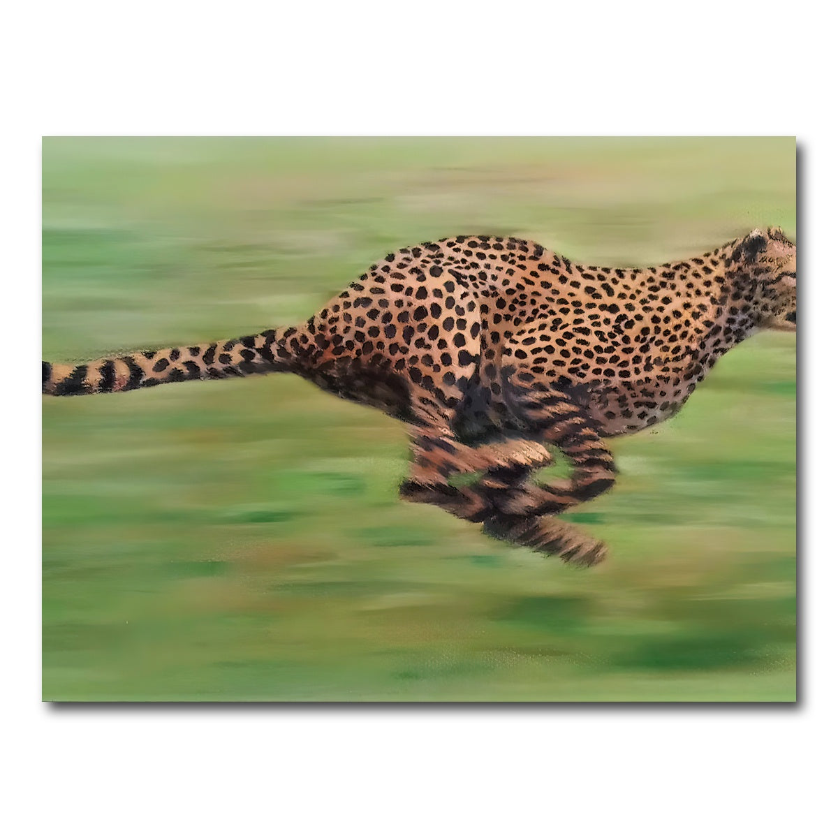 AUTO-MOCKUP WHITE | Fast Forward | 1 Piece | Gallery Wrap Canvas | group=4x3