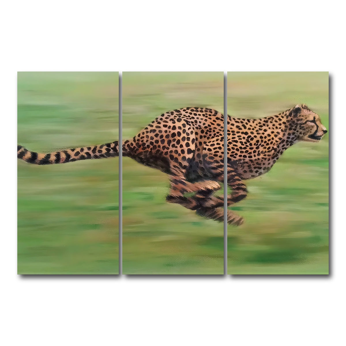 AUTO-MOCKUP WHITE | Fast Forward | 3 Piece | Gallery Wrap Canvas | group=12x24