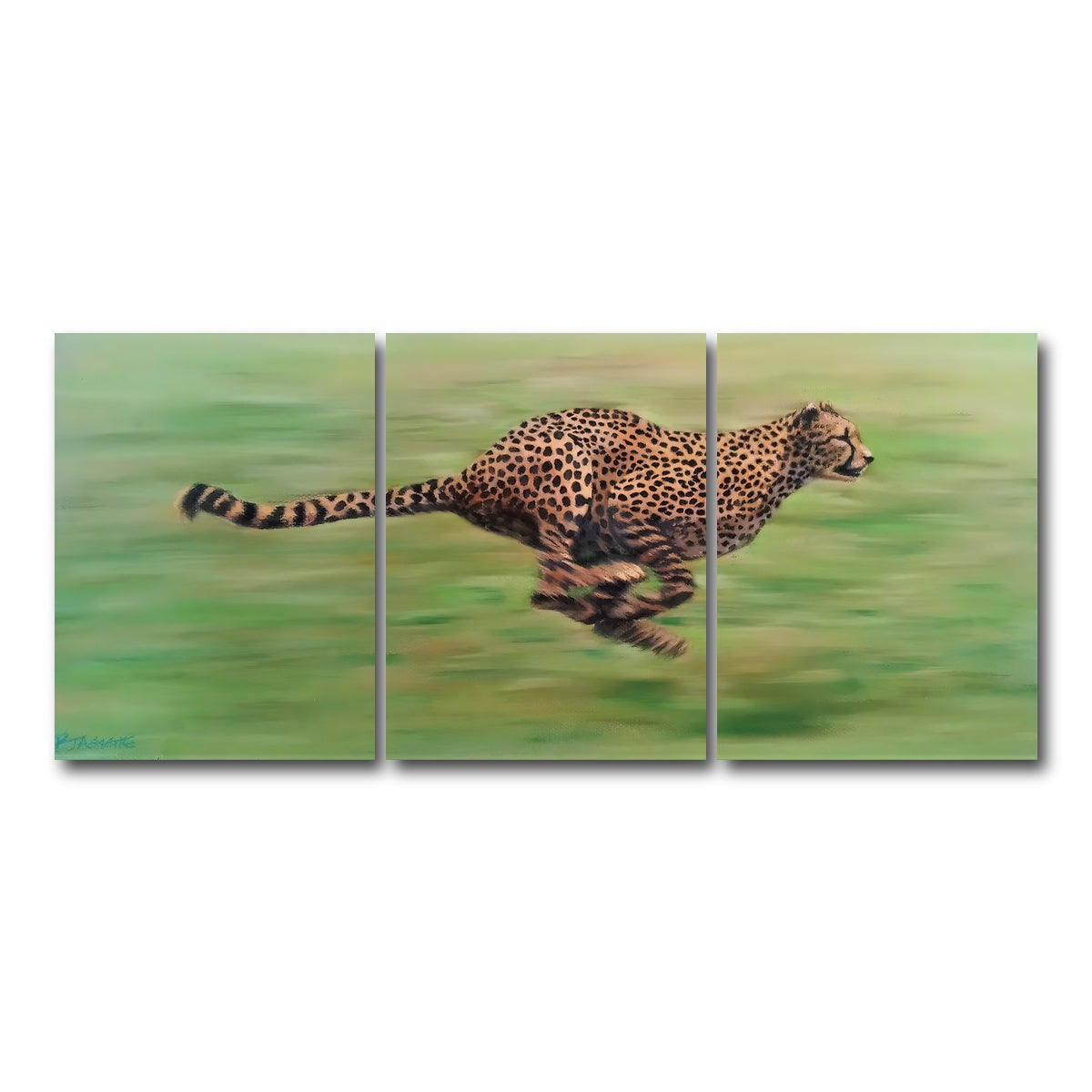 AUTO-MOCKUP WHITE | Fast Forward | 3 Piece | Gallery Wrap Canvas | group=18x24