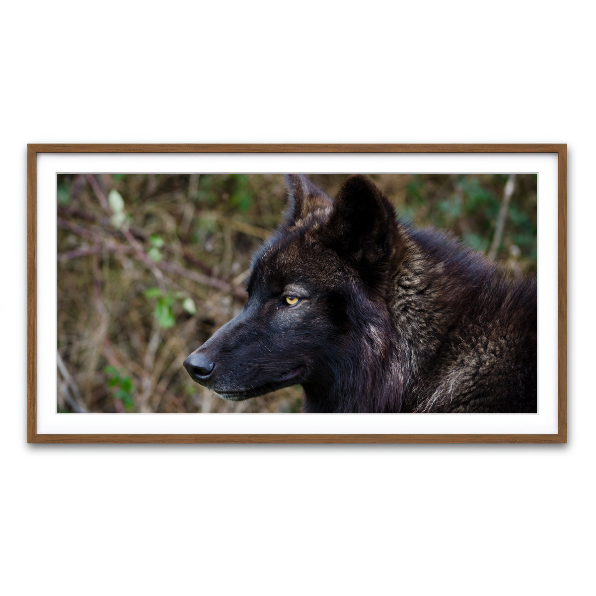 Framed Print 2x1 Walnut