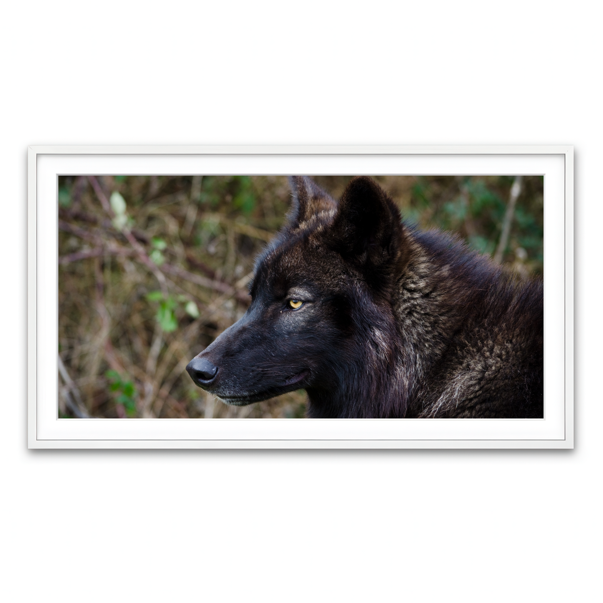 Framed Print 2x1 White