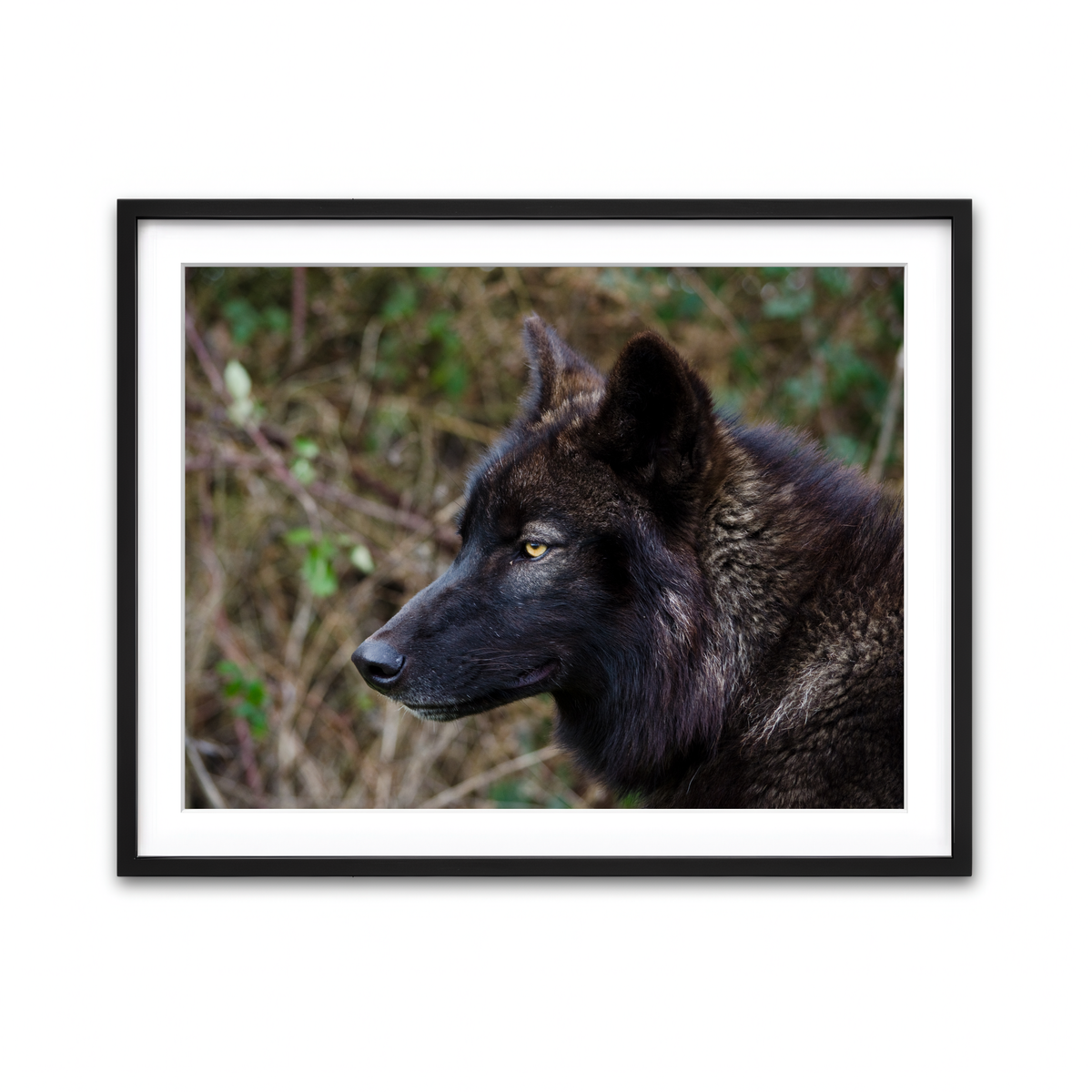 Framed Print 4x3 Black