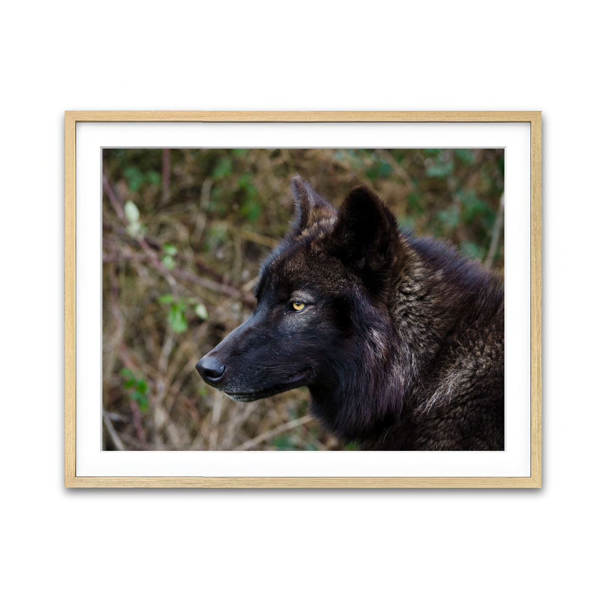 Framed Print 4x3 Natural