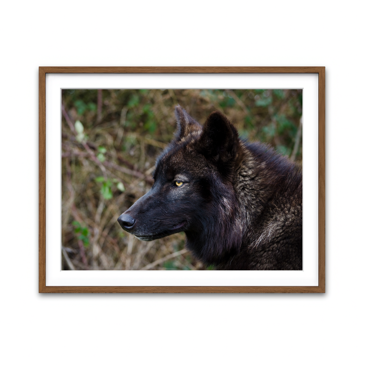 Framed Print 4x3 Walnut