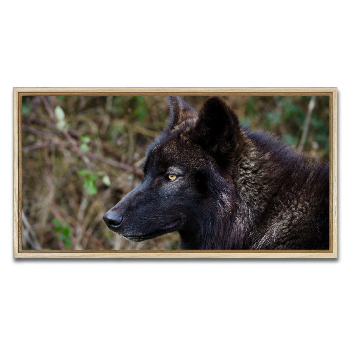 AUTO-MOCKUP WHITE | Female Black Wolf | 1 Piece | Natural Framed Canvas | group=2x1