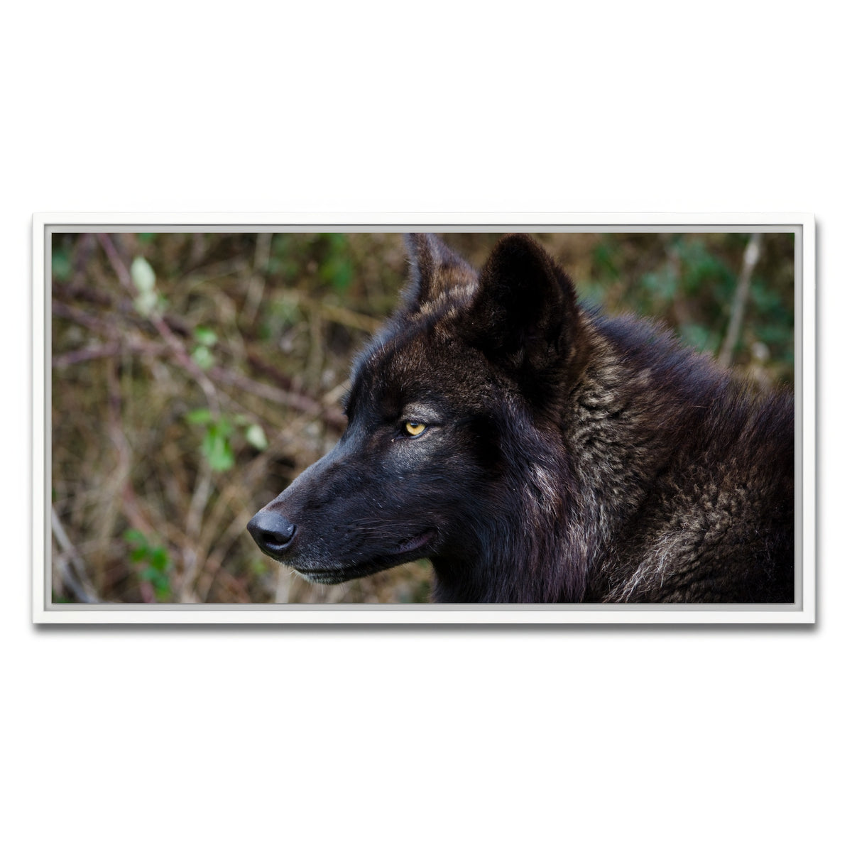 AUTO-MOCKUP WHITE | Female Black Wolf | 1 Piece | White Framed Canvas | group=2x1
