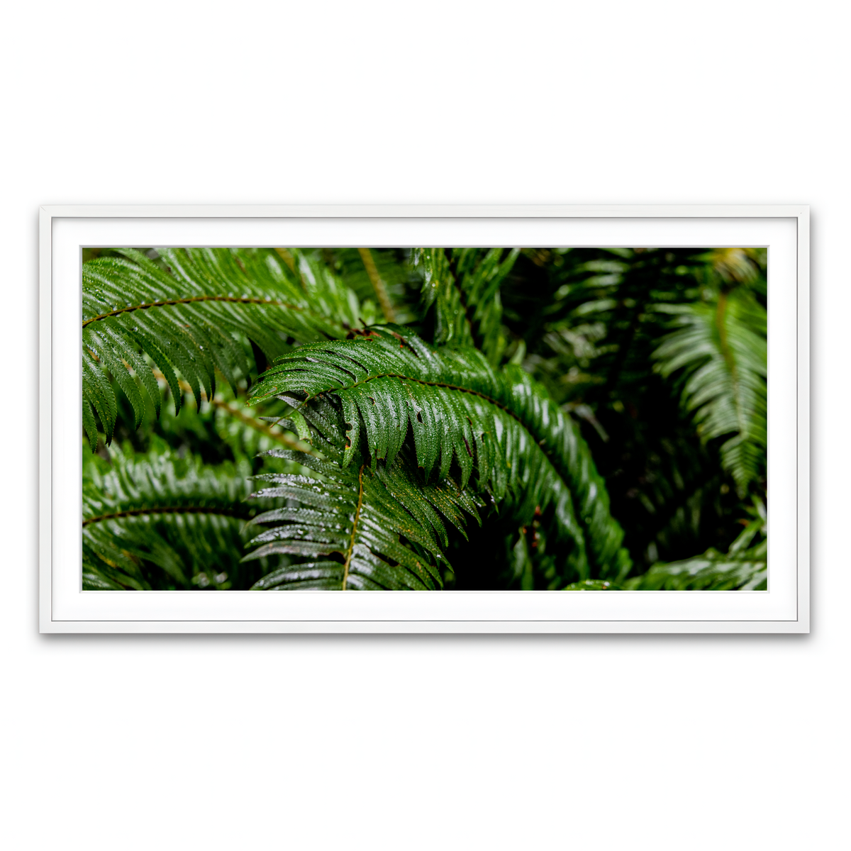 Framed Print 2x1 White