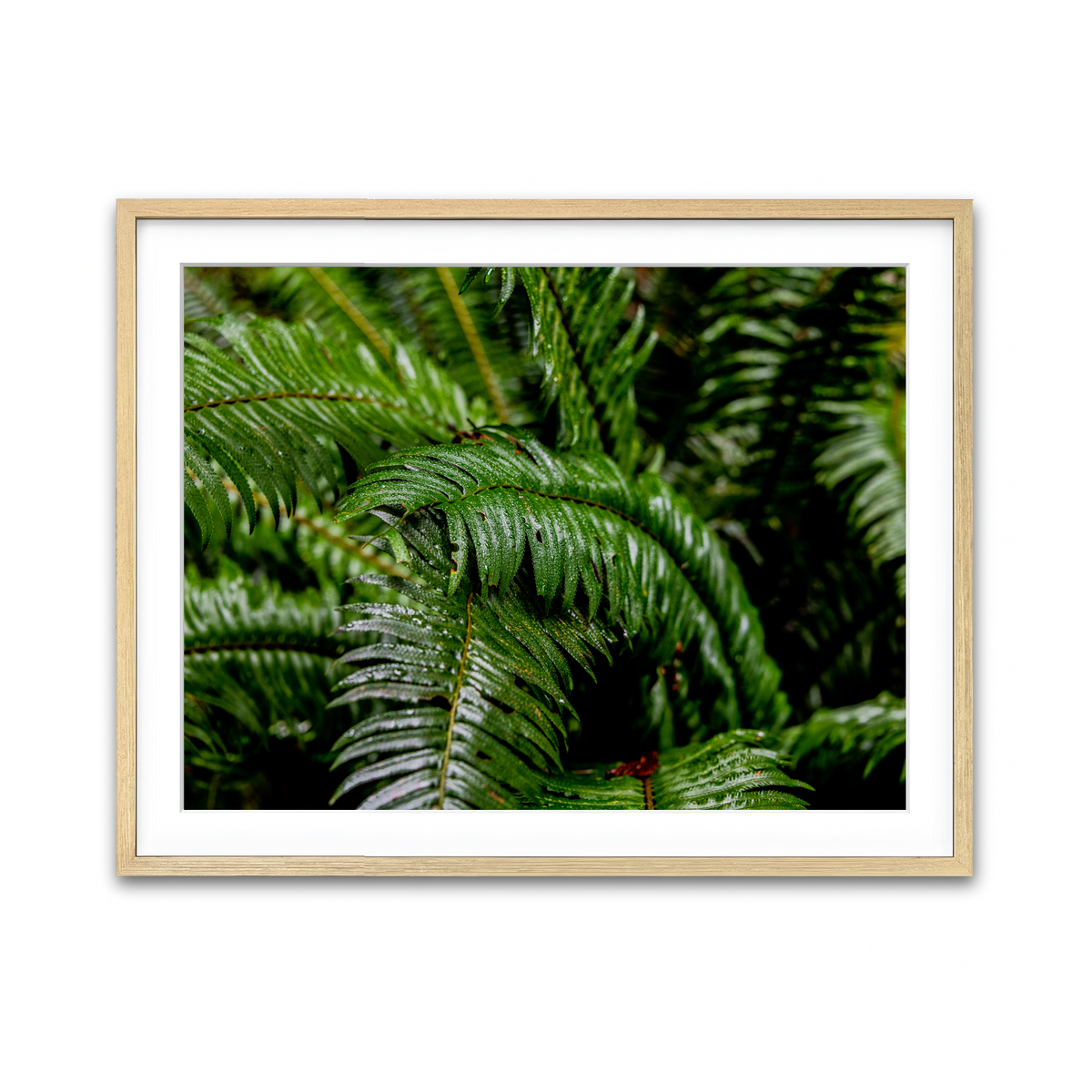 Framed Print 4x3 Natural