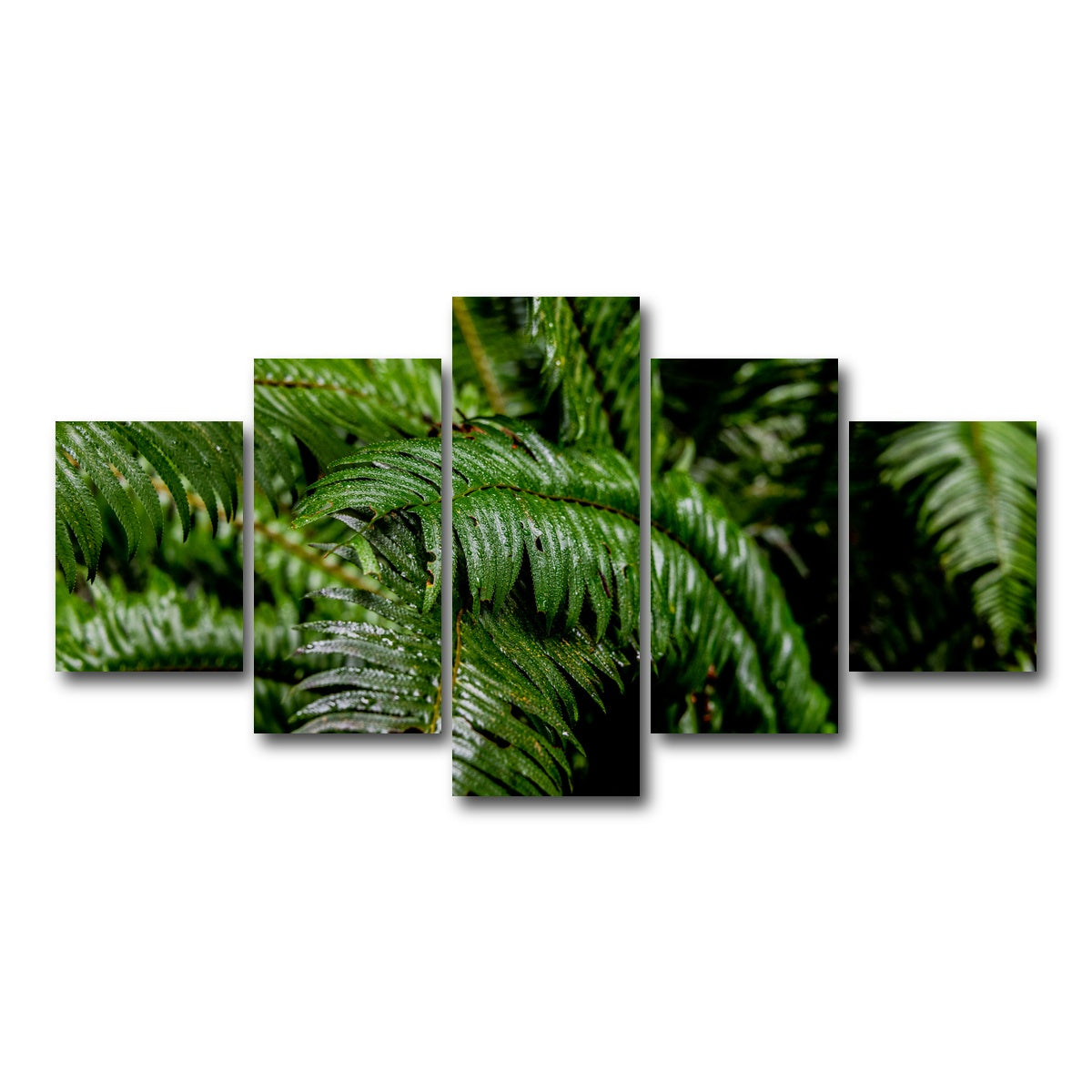 AUTO-MOCKUP WHITE | Ferns | 5 Piece | Gallery Wrap Canvas | group=5_short