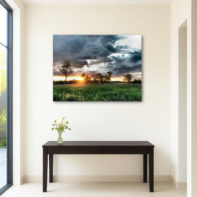 AUTO-MOCKUP ROOM | Field & Sunset