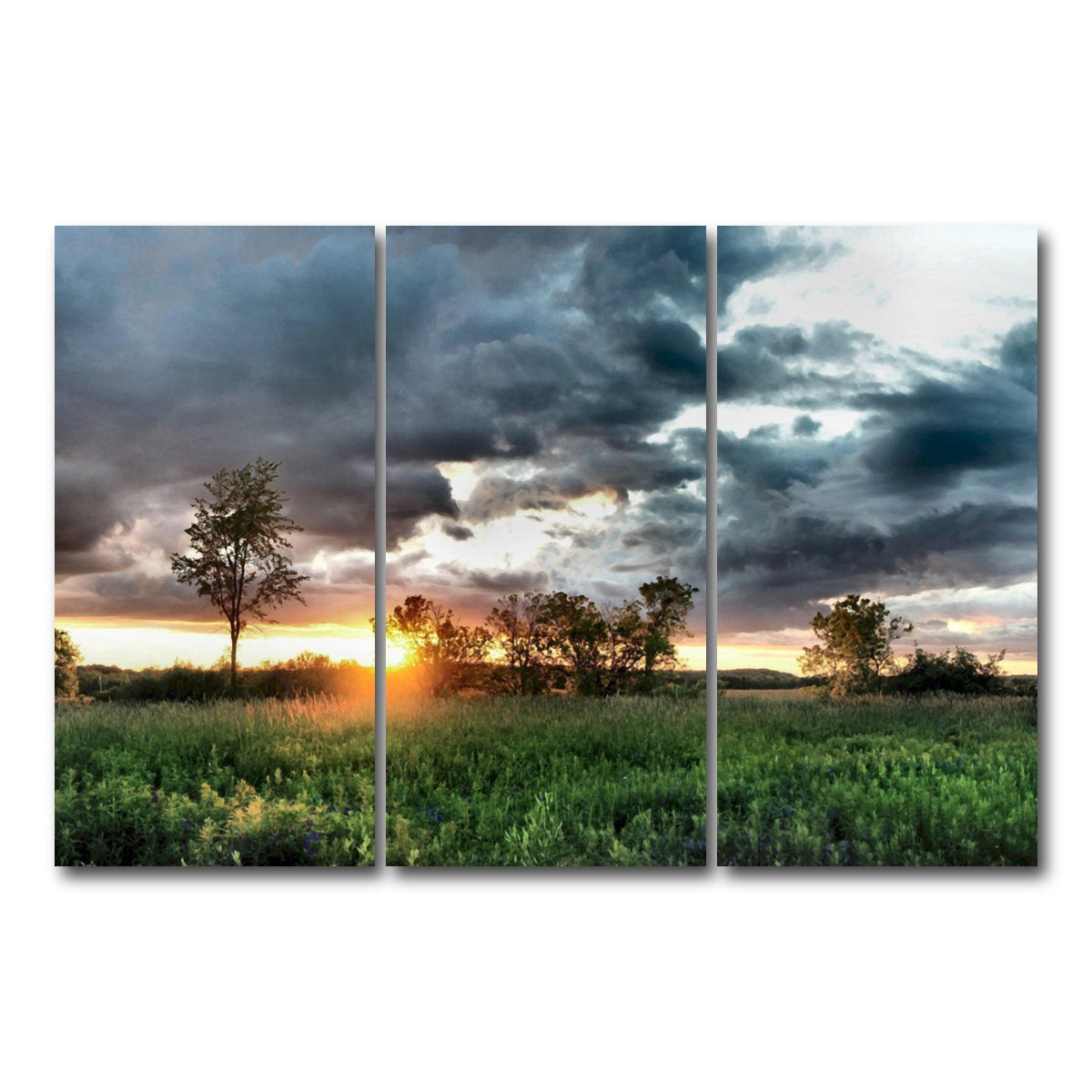 AUTO-MOCKUP WHITE | Field & Sunset | 3 Piece | Gallery Wrap Canvas | group=12x24