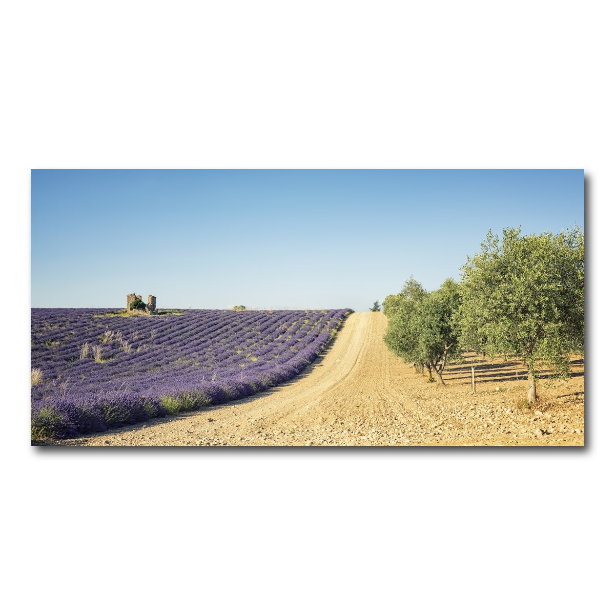 AUTO-MOCKUP WHITE | Fields In Provence | 1 Piece | Gallery Wrap Canvas | group=2x1