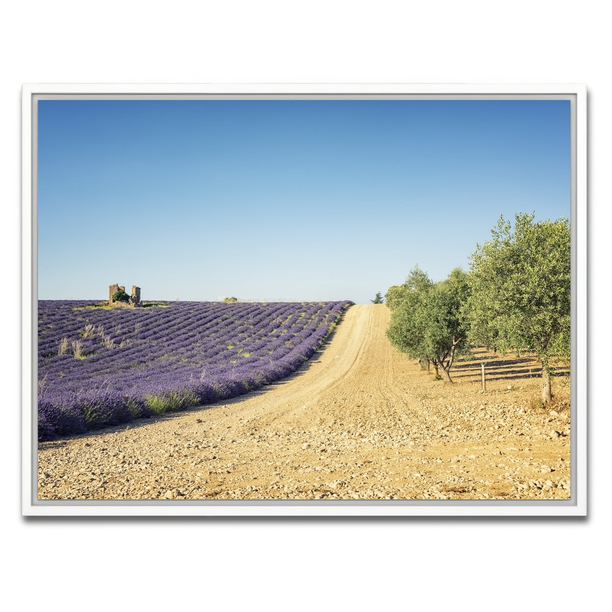 AUTO-MOCKUP WHITE | Fields In Provence | 1 Piece | White Framed Canvas | group=4x3