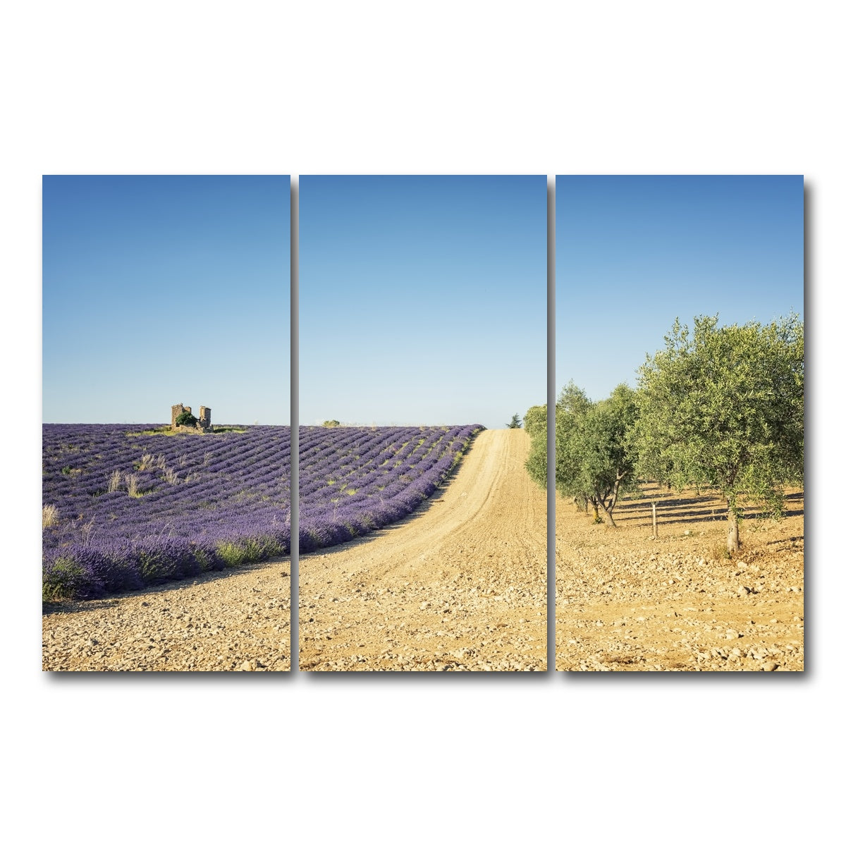 AUTO-MOCKUP WHITE | Fields In Provence | 3 Piece | Gallery Wrap Canvas | group=12x24