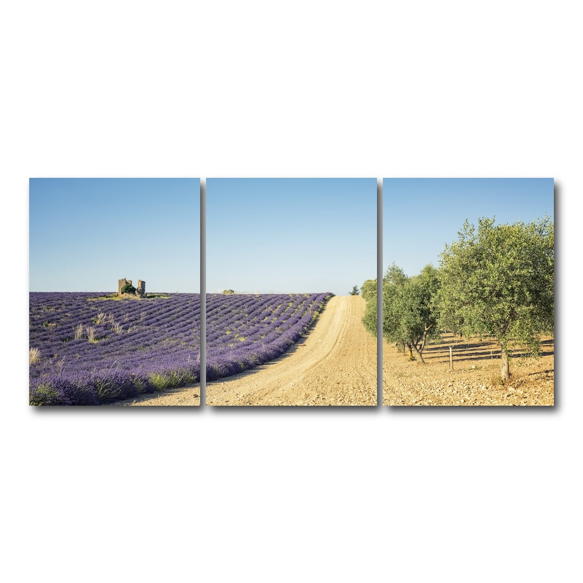 AUTO-MOCKUP WHITE | Fields In Provence | 3 Piece | Gallery Wrap Canvas | group=18x24