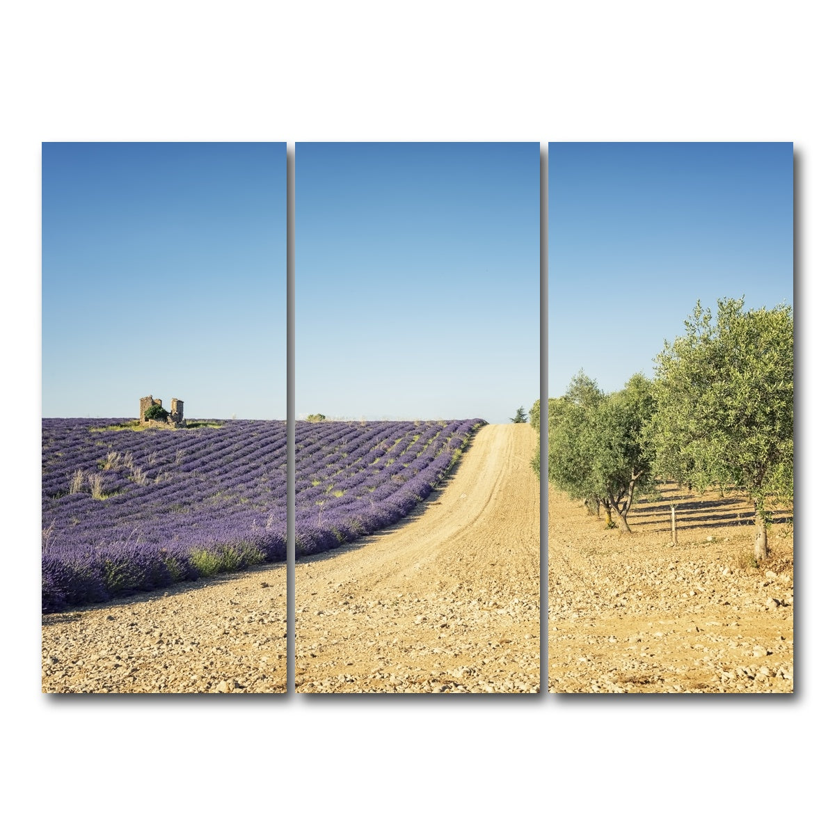AUTO-MOCKUP WHITE | Fields In Provence | 3 Piece | Gallery Wrap Canvas | group=8x18