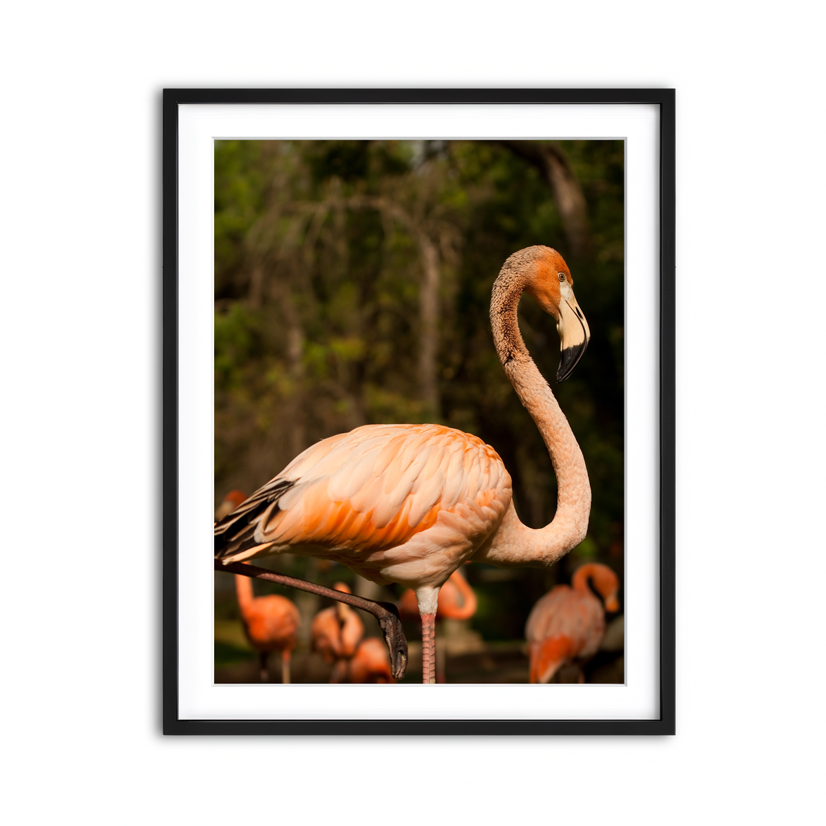 Framed Print 3x4 Black