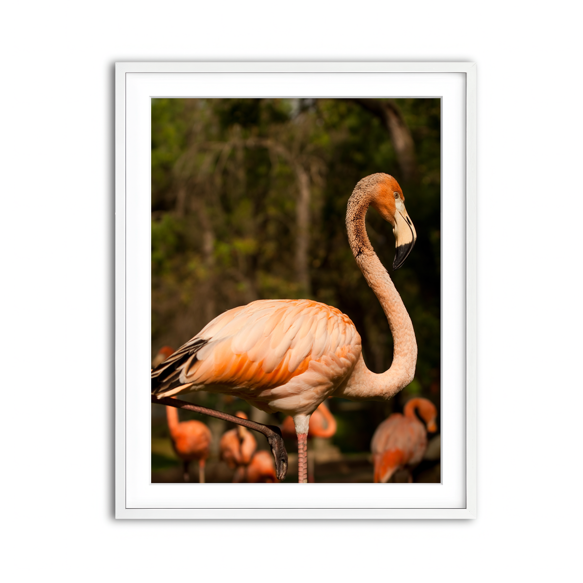 Framed Print 3x4 White