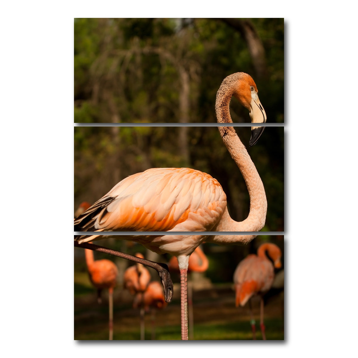 AUTO-MOCKUP WHITE | Flamingo acrobat | 3 Piece | Gallery Wrap Canvas | group=12x24_stacked