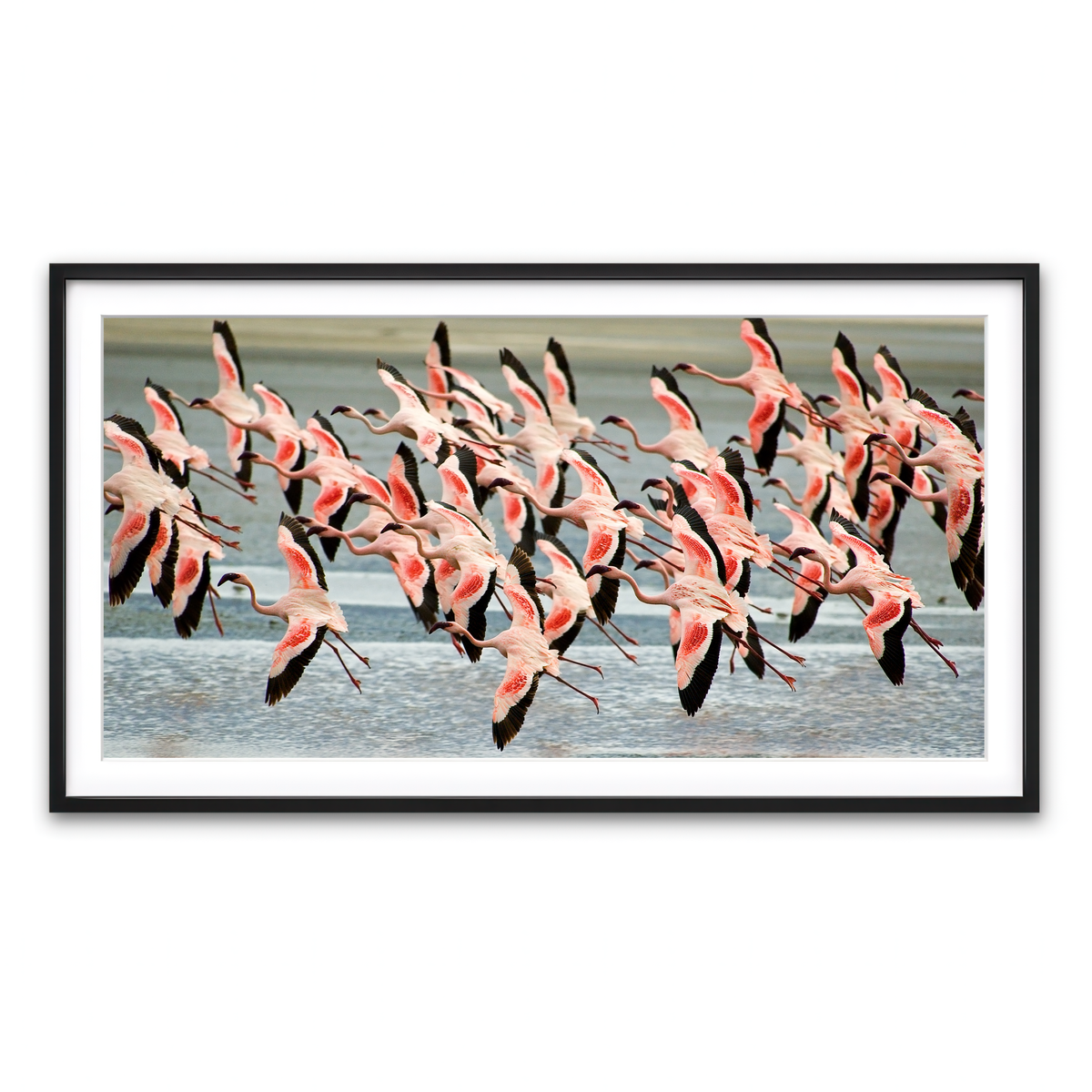 Framed Print 2x1 Black