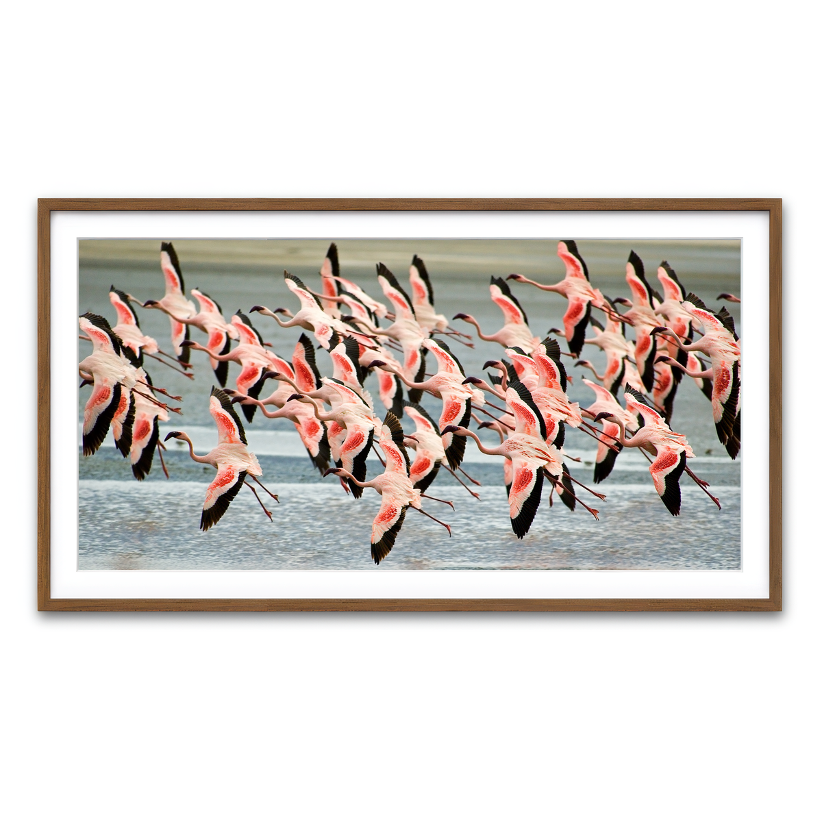 Framed Print 2x1 Walnut