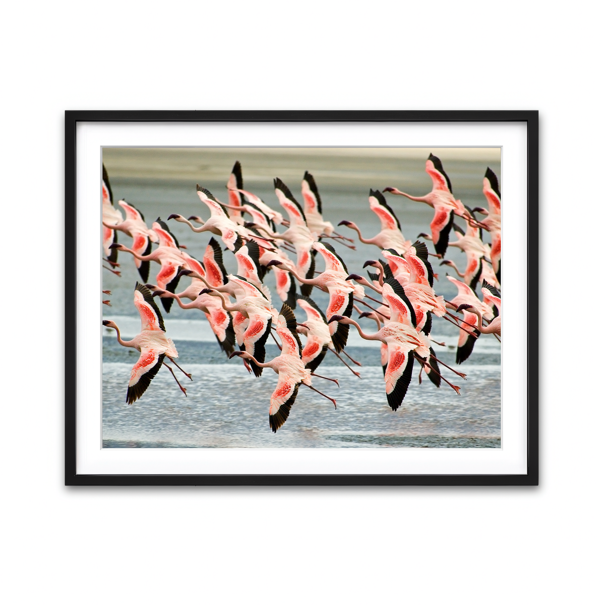 Framed Print 4x3 Black