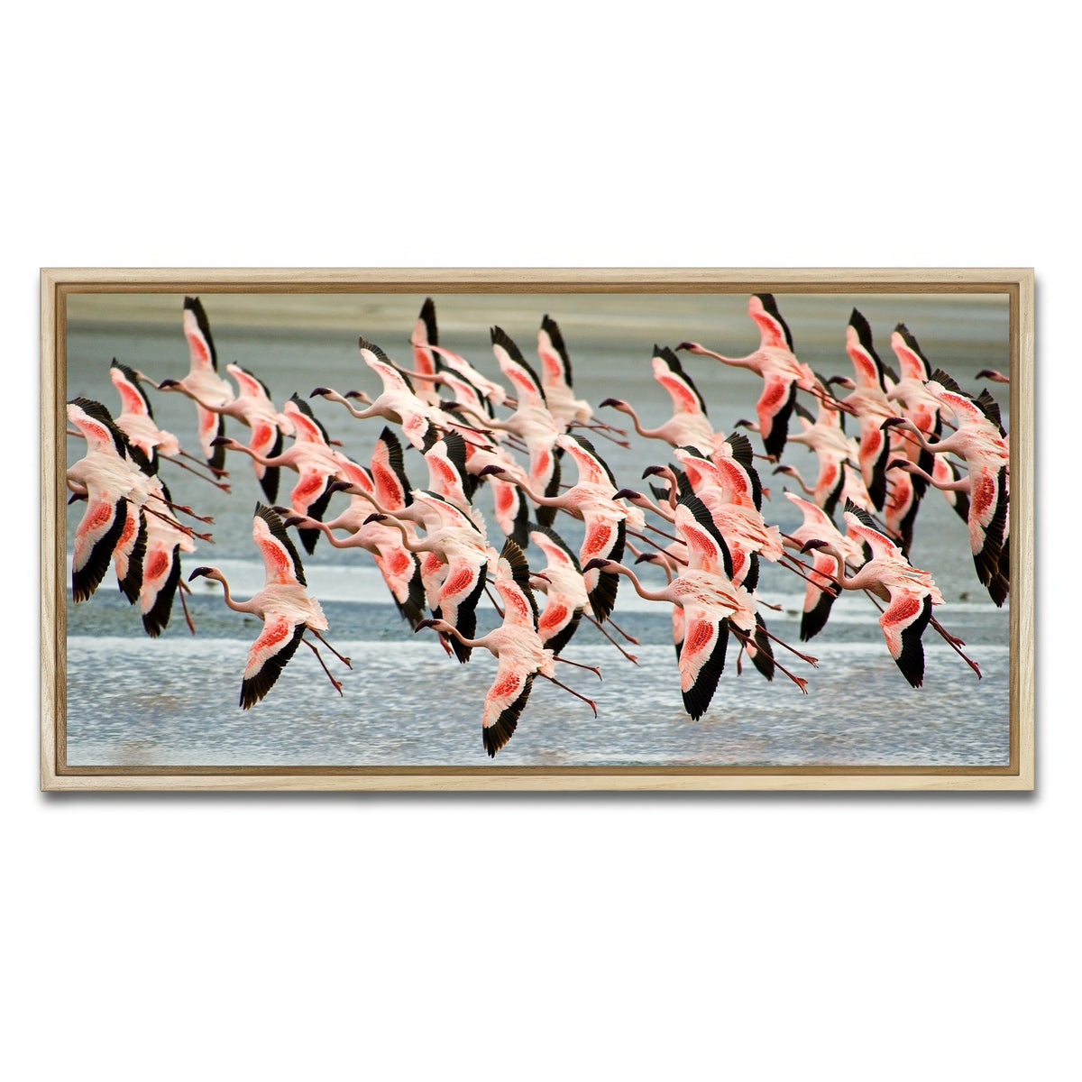 AUTO-MOCKUP WHITE | Flamingo's in Tanzania | 1 Piece | Natural Framed Canvas | group=2x1
