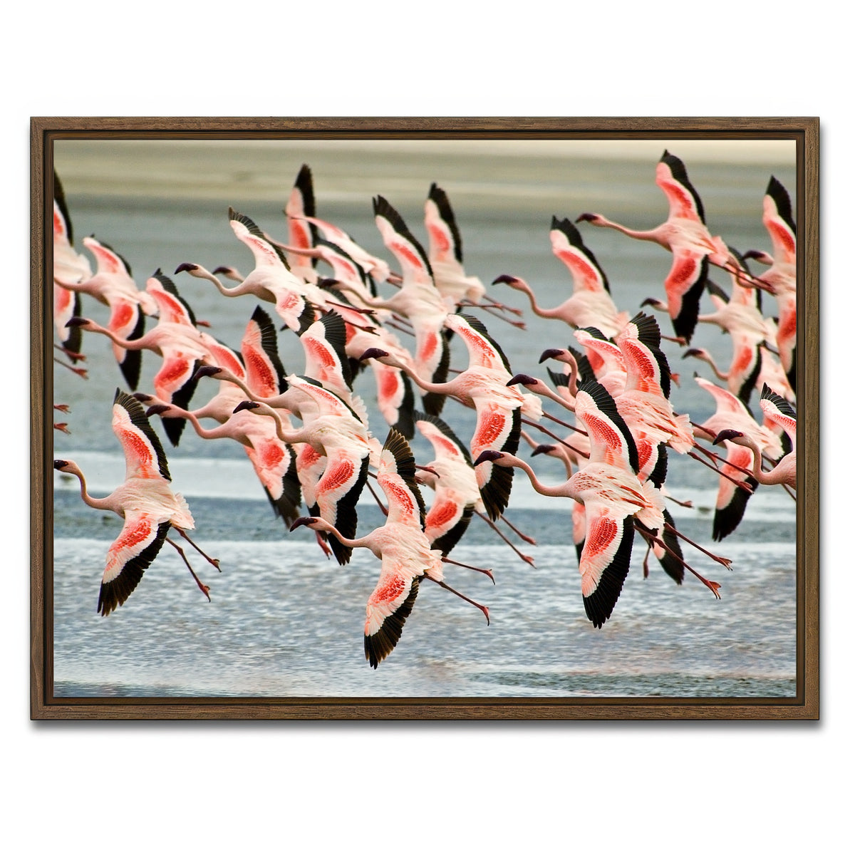 AUTO-MOCKUP WHITE | Flamingo's in Tanzania | 1 Piece | Walnut Framed Canvas | group=4x3