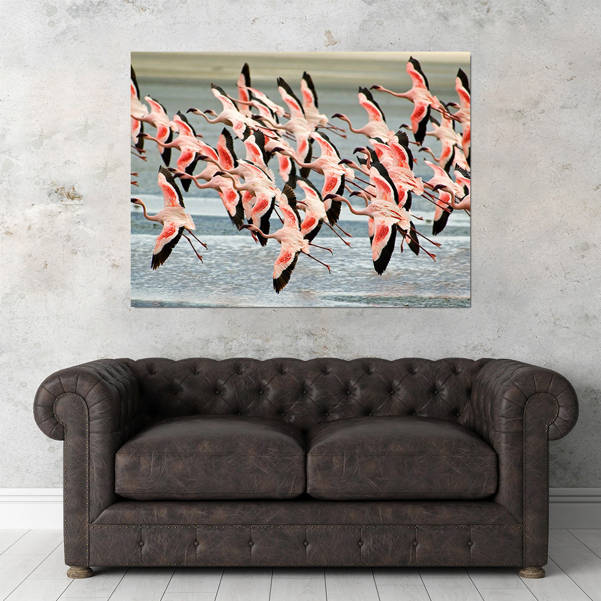 Flamingo's in Tanzania Wall Art