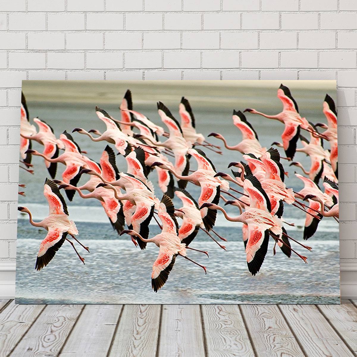 Flamingo's in Tanzania Wall Art