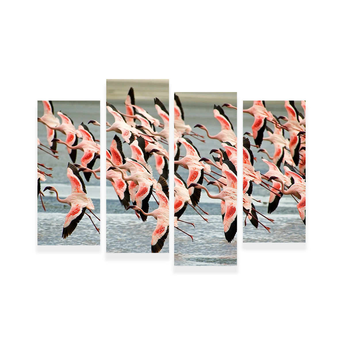 Flamingo's in Tanzania Wall Art