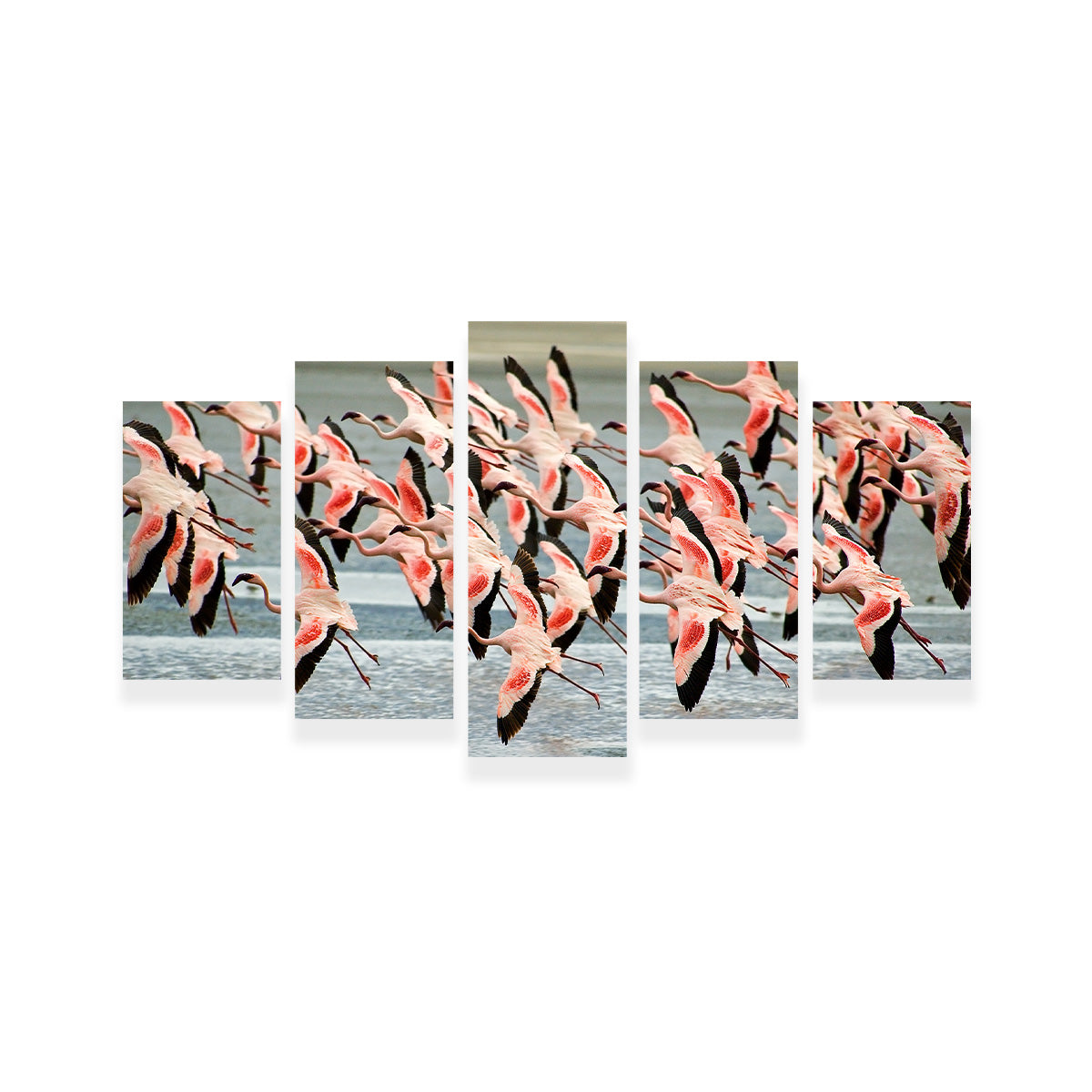 Flamingo's in Tanzania Wall Art