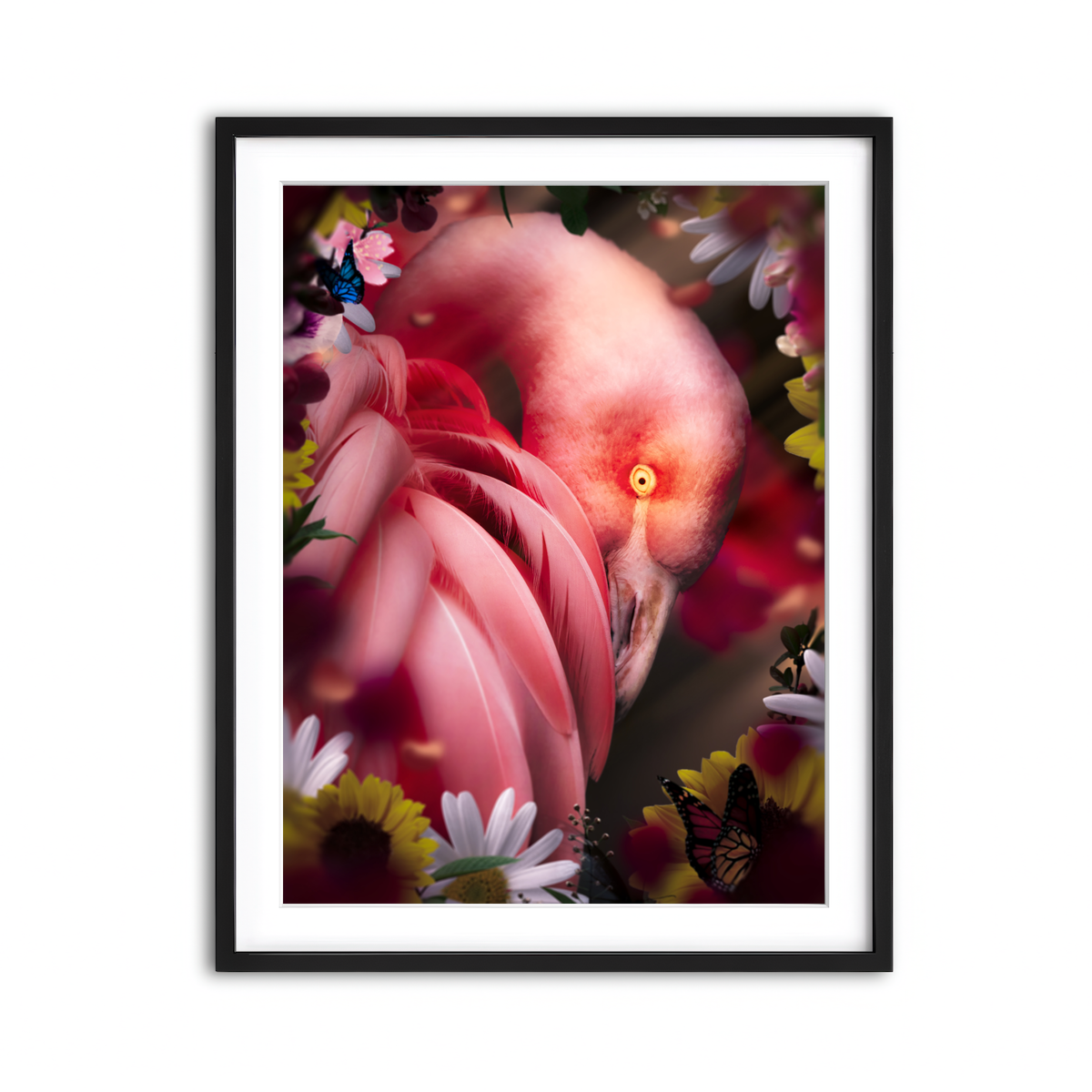 Framed Print 3x4 Black
