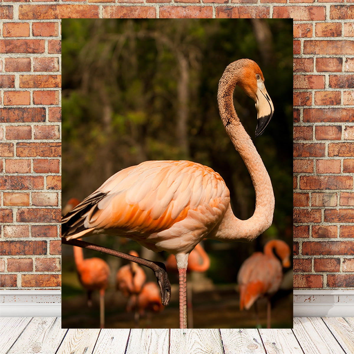 Flamingo Acrobat Wall Art