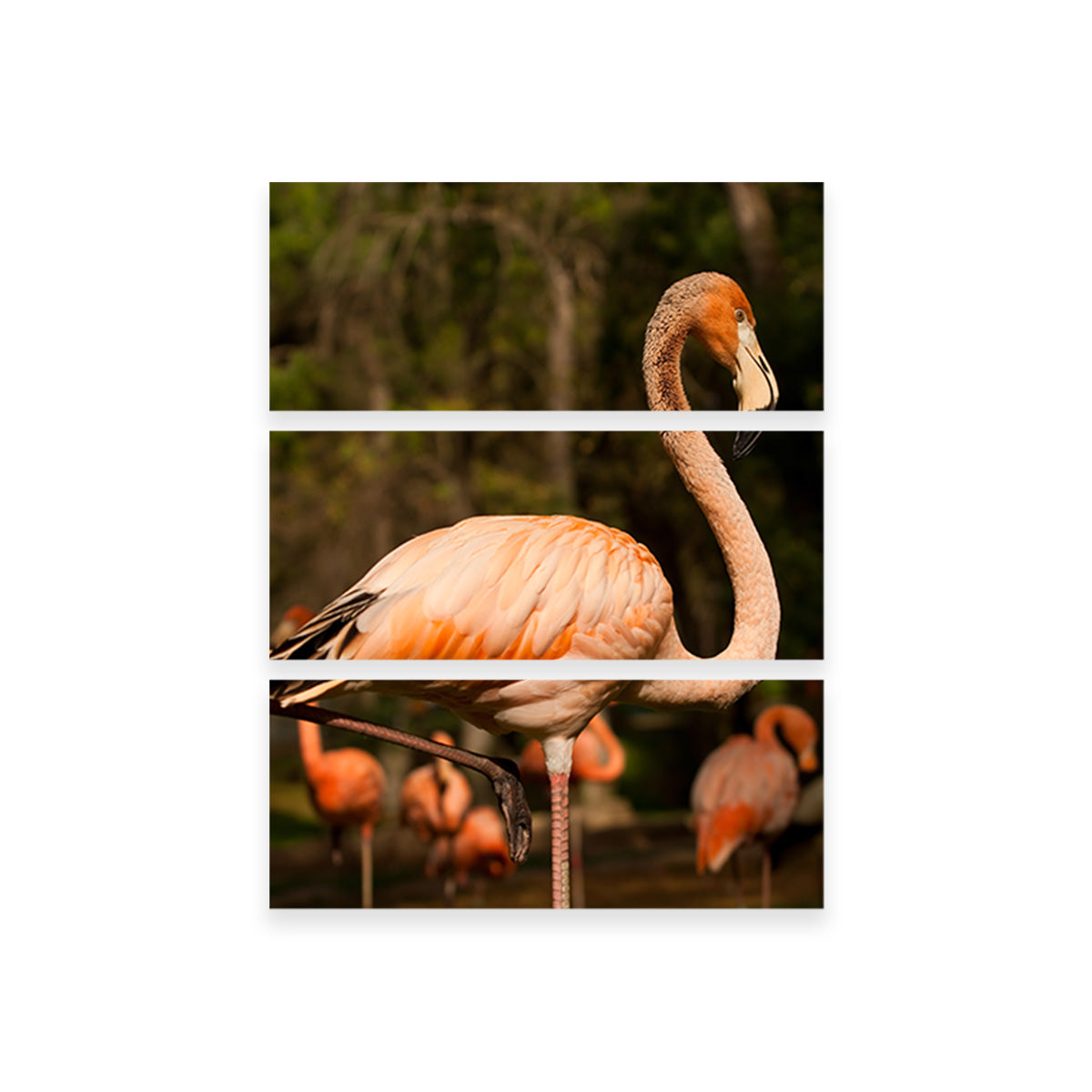 Flamingo Acrobat Wall Art