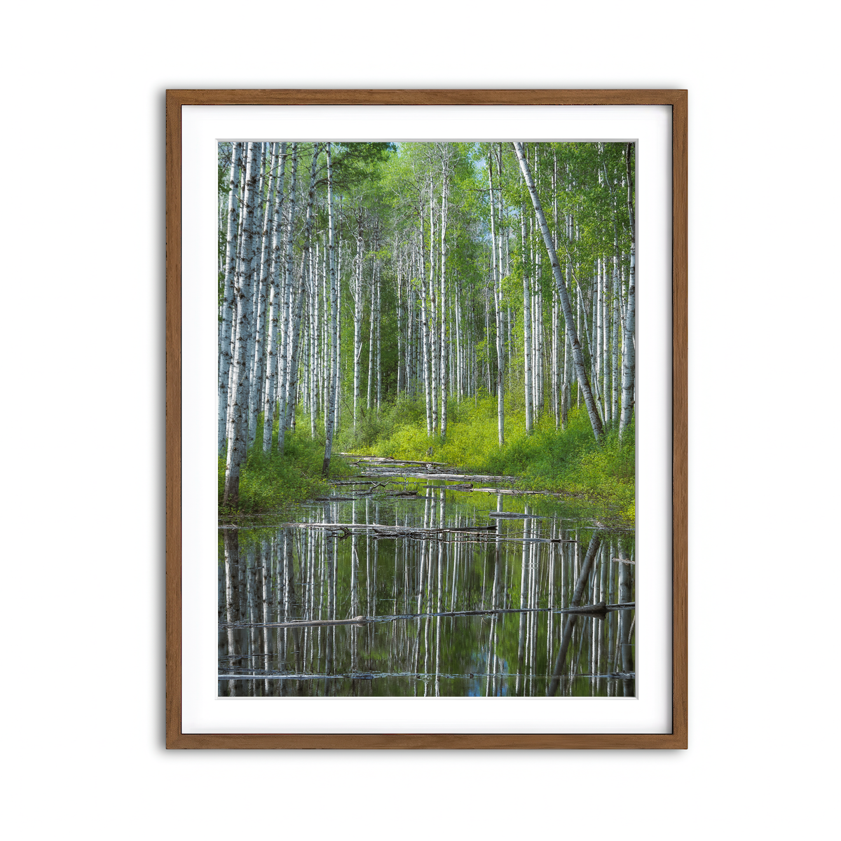 Framed Print 3x4 Walnut