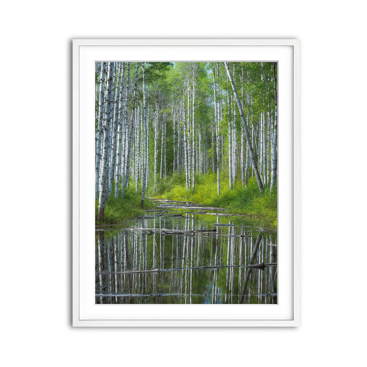 Framed Print 3x4 White