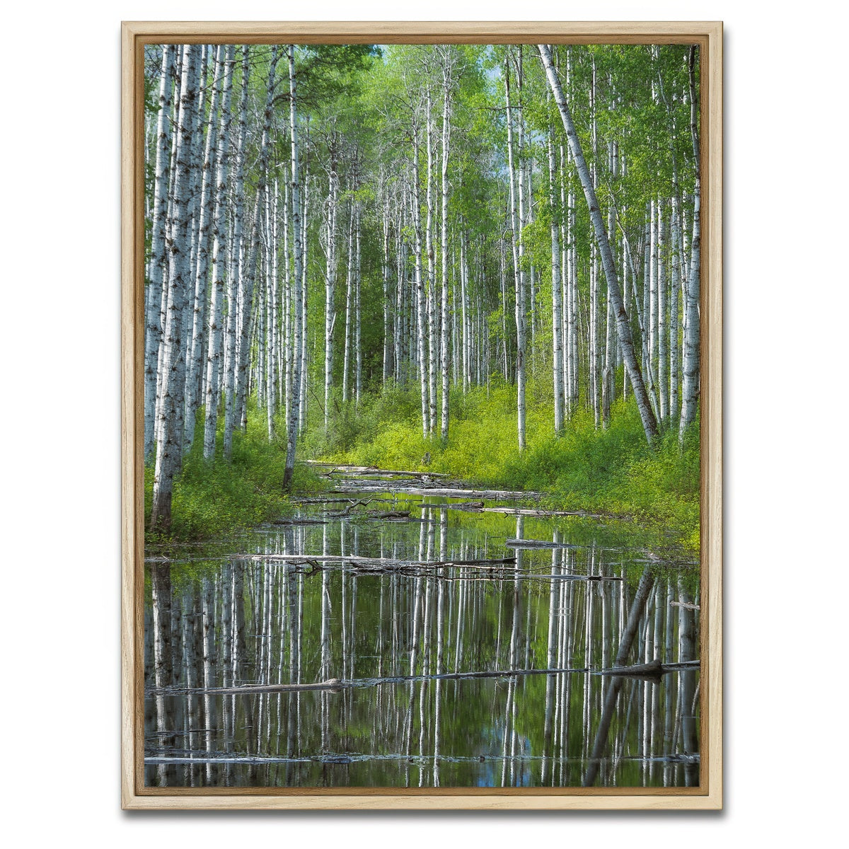 AUTO-MOCKUP WHITE | Flooded Grove | 1 Piece | Natural Framed Canvas | group=3x4