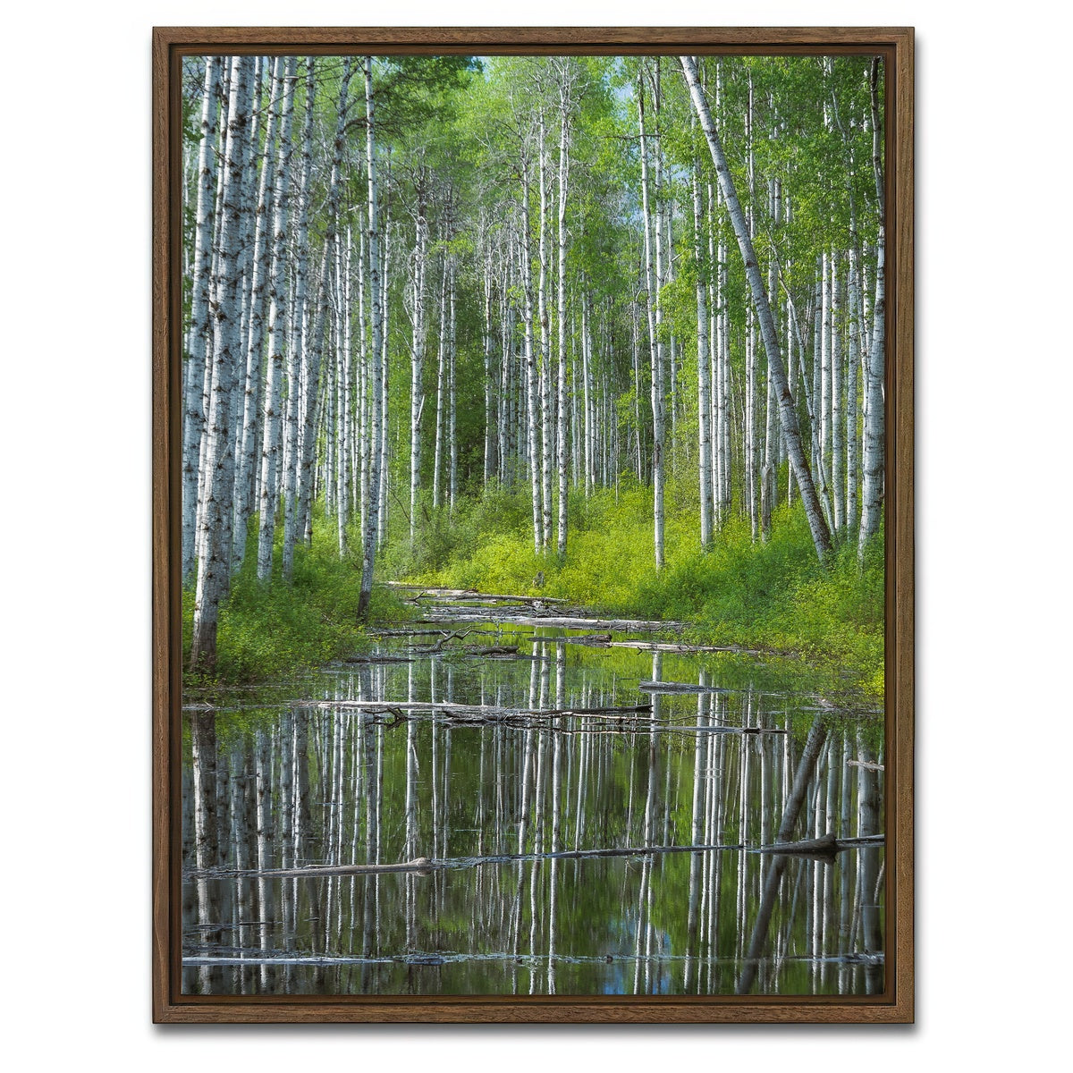 AUTO-MOCKUP WHITE | Flooded Grove | 1 Piece | Walnut Framed Canvas | group=3x4