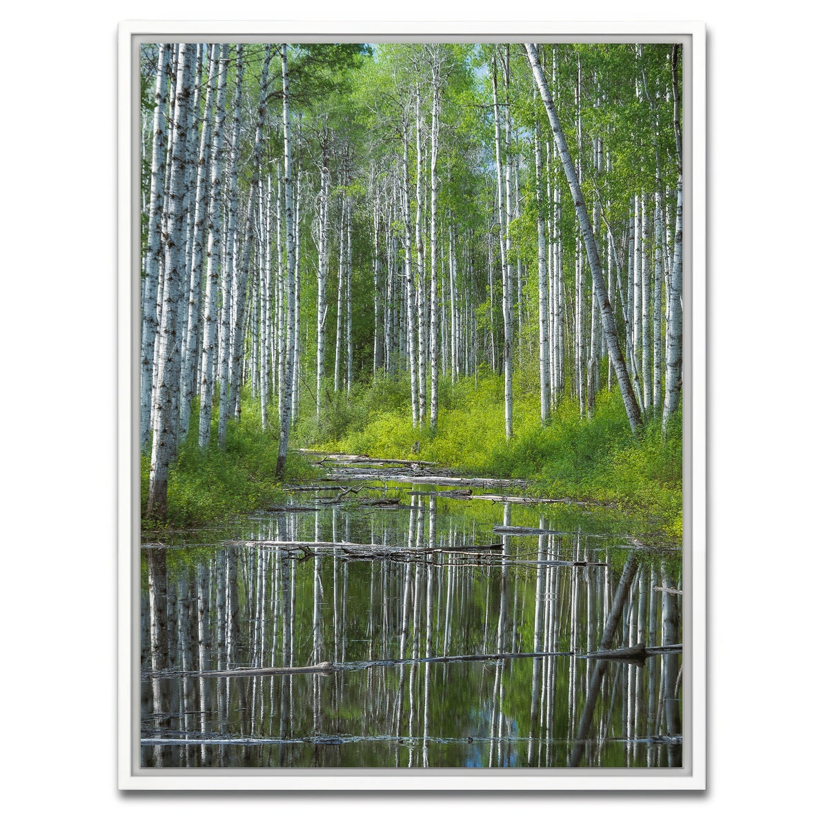 AUTO-MOCKUP WHITE | Flooded Grove | 1 Piece | White Framed Canvas | group=3x4
